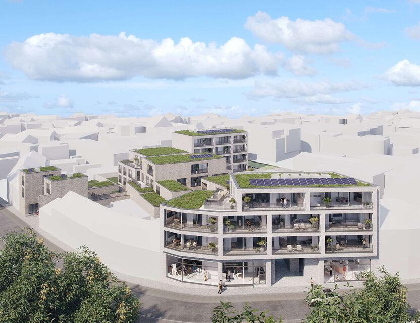 Overzicht Project