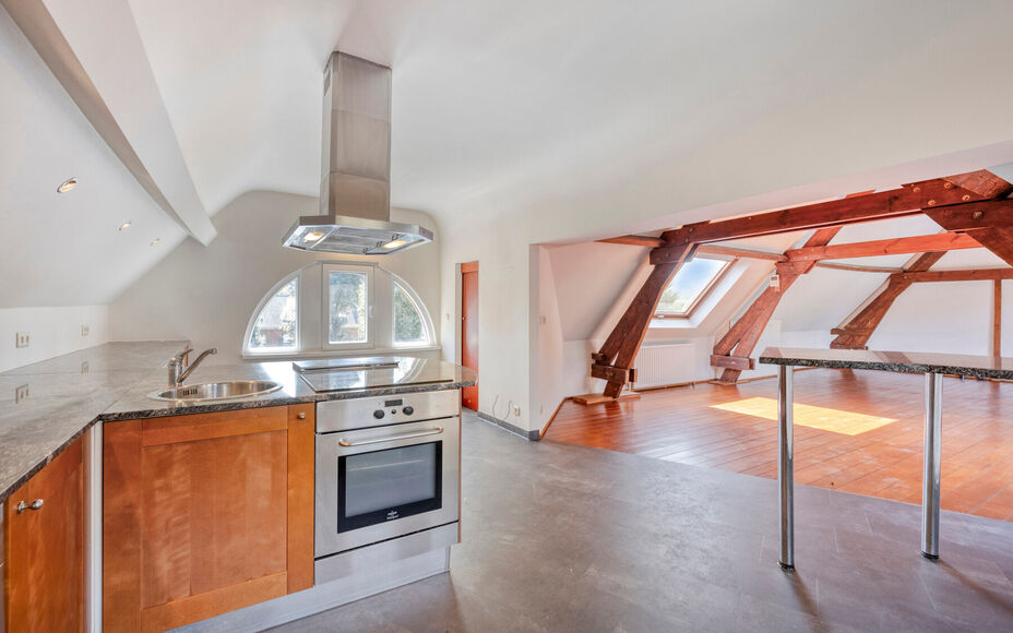 Leemans Immobiliën vous propose à la location ce spacieux et charmant appartement duplex, idéalement situé au cœur de Dilbeek.Grâce à son emplacement privilégié, commerces, écoles, transports en commun, installations sportives et grands axes rou