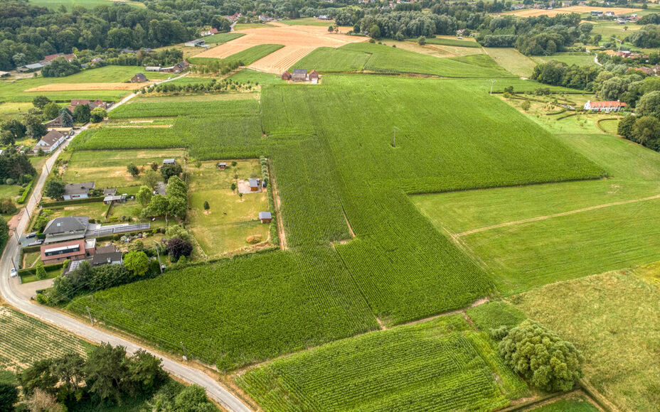 Boerderij te koop in Asse
