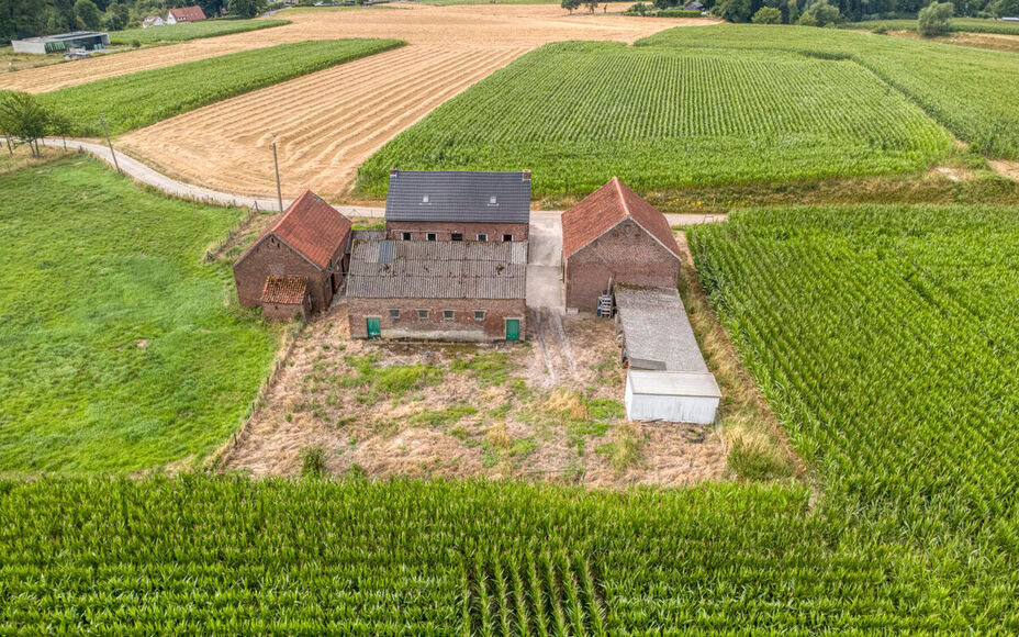 Boerderij te koop in Asse