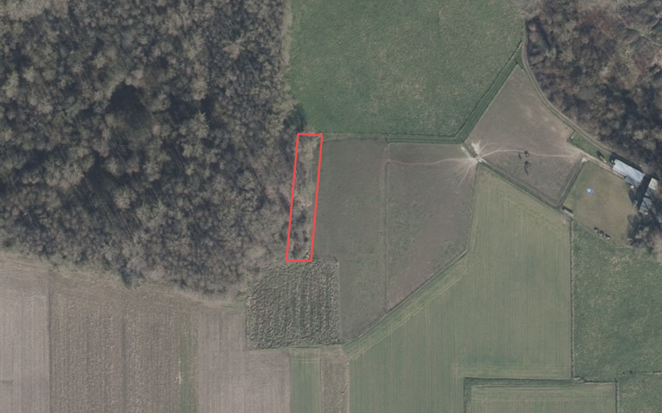 LEEMANS IMMOBILIËN biedt U volgend kleinschalig bosgebied aan met een oppervlakte van 8are 50ca. 

Perceel gelegen in VEN-gebied (zie nabijgelegen Kravaalbos) -> bescherming natuurbehoud. 

Geen erfdienstbaarheden aanwezig. 

Breedte circa 12m - diepte c