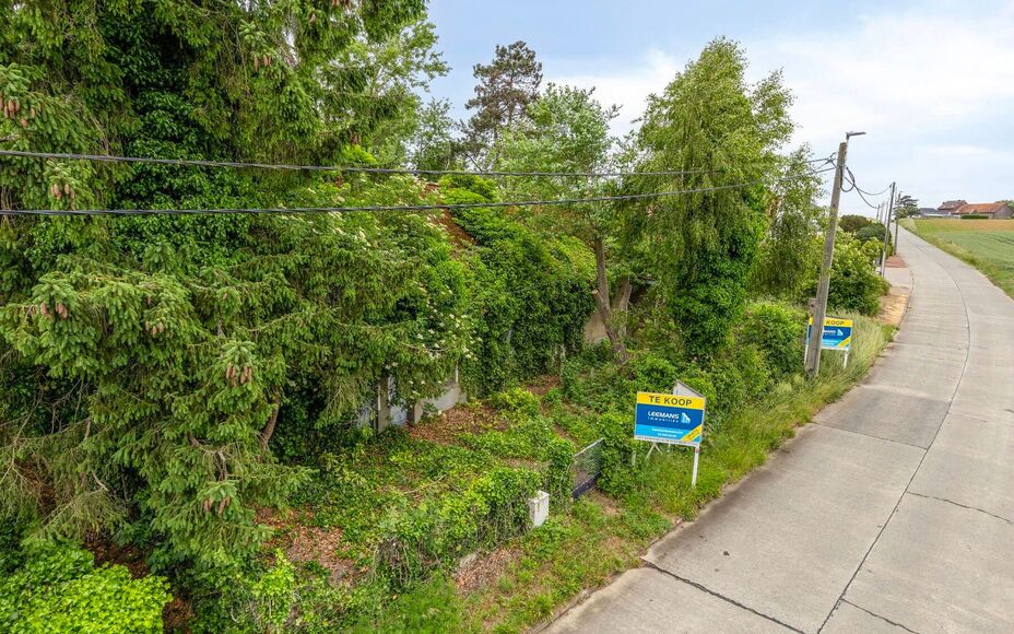 Bent U op zoek naar een rustig gelegen bouwgrond in de groene rand rond Brussel? Maar toch met de dichte nabijheid van alle faciliteiten?  

LEEMANS IMMOBILIËN biedt U deze ruime bouwgrond aan in Bekkerzeel, een deelgemeente van Asse, met een zeer gunsti