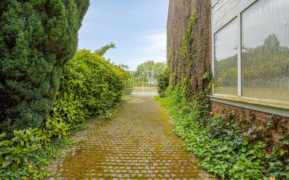 Eengezinswoning te koop in Asse