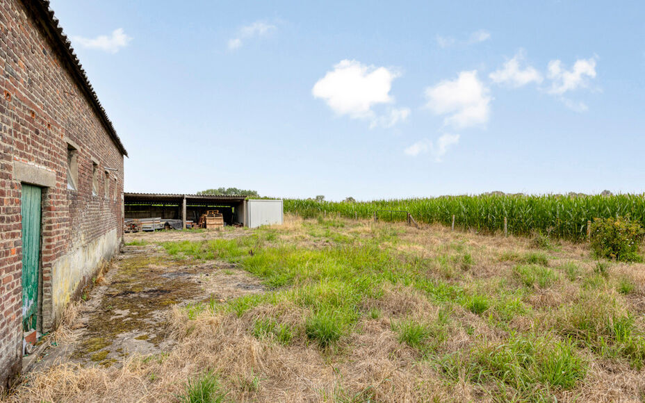 Ferme à vendre à Asse