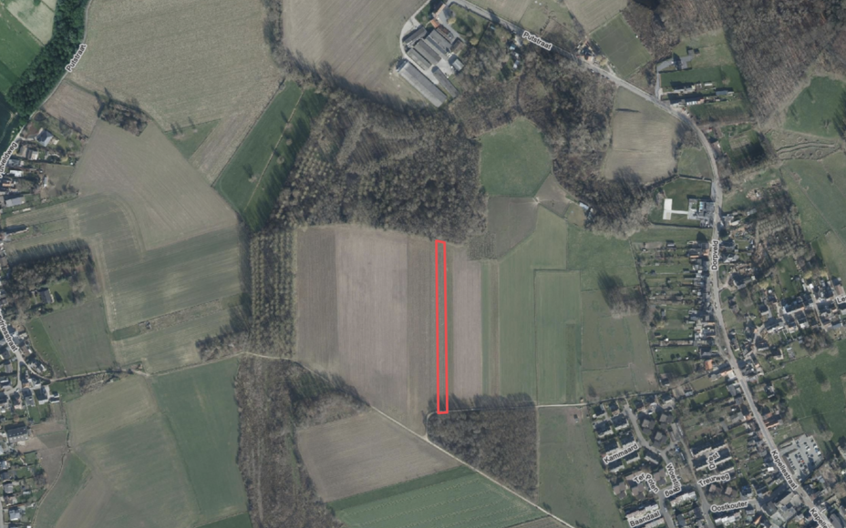 LEEMANS IMMOBILIËN biedt U volgende landbouwgrond aan met een oppervlakte van 37are 65ca. 

Perceel gelegen in VEN-gebied (zie nabijgelegen Kravaalbos) -> bescherming natuurbehoud. 

Landbouwgrond is wel verpacht! Gelieve contact op te nemen voor de info