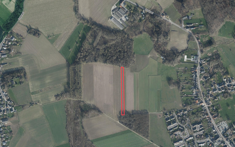 LEEMANS IMMOBILIËN biedt U volgende landbouwgrond aan met een oppervlakte van 37are 65ca. 

Perceel gelegen in VEN-gebied (zie nabijgelegen Kravaalbos). 

Breedte circa 13m - diepte circa 273m.  

Landbouwgrond is verpacht. Gelieve contact op te nemen