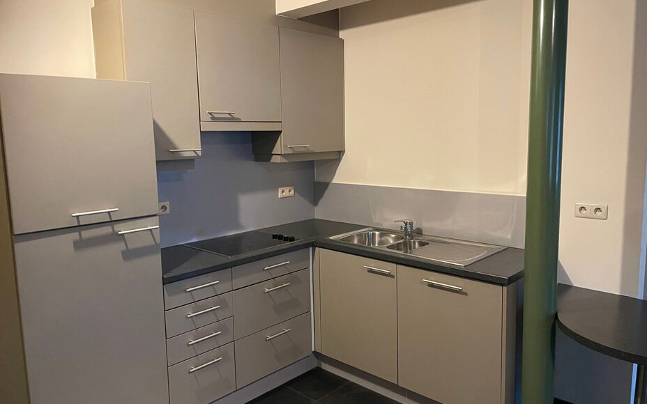 Leemans Immobiliën biedt u deze aangename gelijkvloerse studio aan, gelegen in het hart van het bruisende centrum van Asse. Dankzij de uiterst centrale ligging bevinden winkels, openbaar vervoer, scholen, sportinfrastructuur en belangrijke invalswegen zi