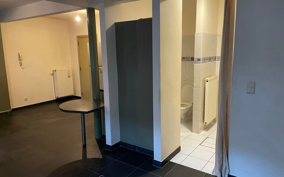 Leemans Immobiliën biedt u deze aangename gelijkvloerse studio aan, gelegen in het hart van het bruisende centrum van Asse. Dankzij de uiterst centrale ligging bevinden winkels, openbaar vervoer, scholen, sportinfrastructuur en belangrijke invalswegen zi