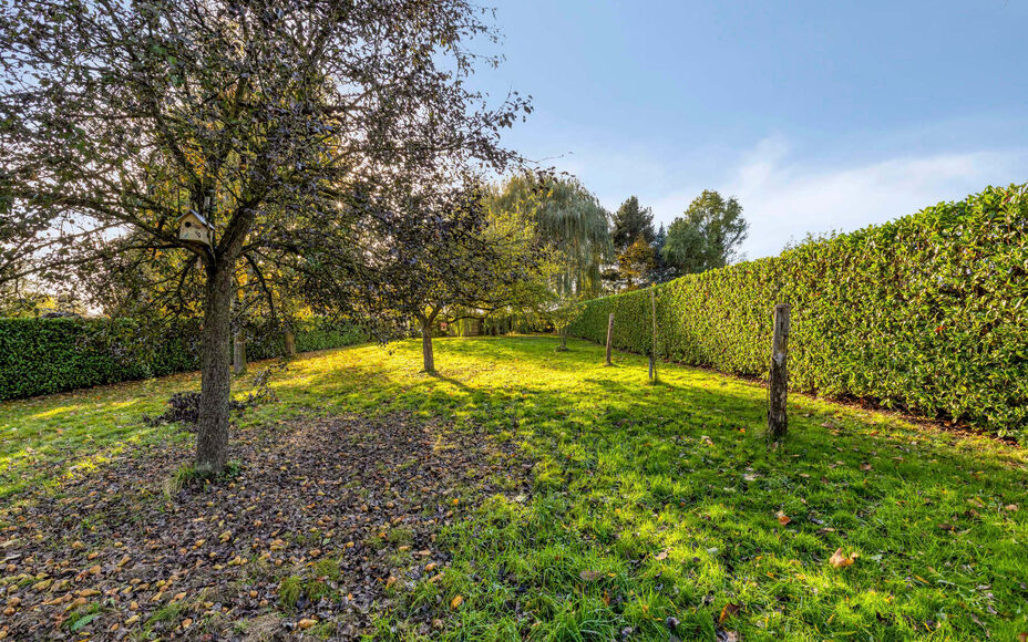 Leemans Immobiliën vous propose cette villa spacieuse et confortable, située au calme dans le charmant village de Mollem. Cette propriété allie un cadre de vie agréable à une configuration pratique, un grand parking et un magnifique jardin exposé s